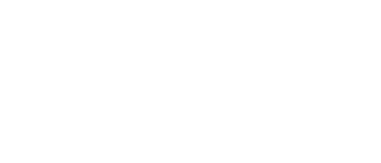 Apis Fitness